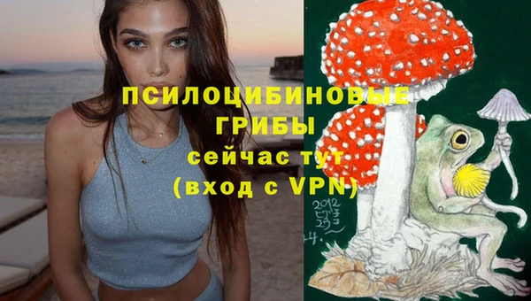 герыч Елизово